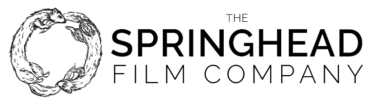 THE SPRINGHEAD FILM COMPANY